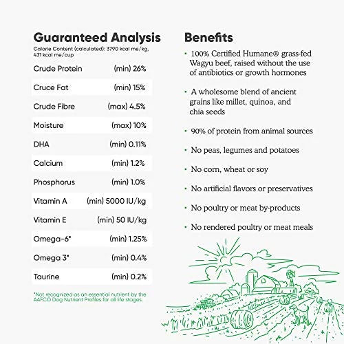 Grass-Fed Beef & Ancient Grains Dry Dog Food, 4 lbs G2018