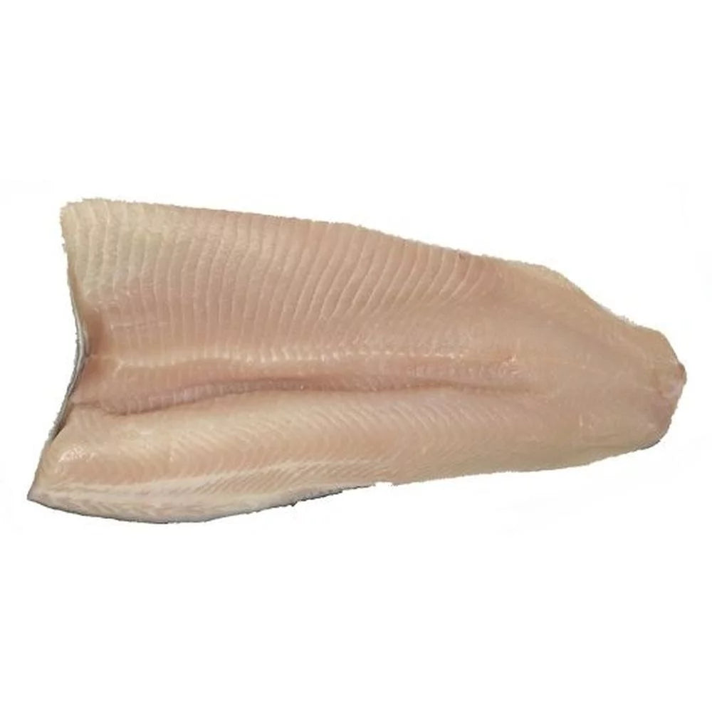 10 Pound Rainbow Trout Fillet M42721