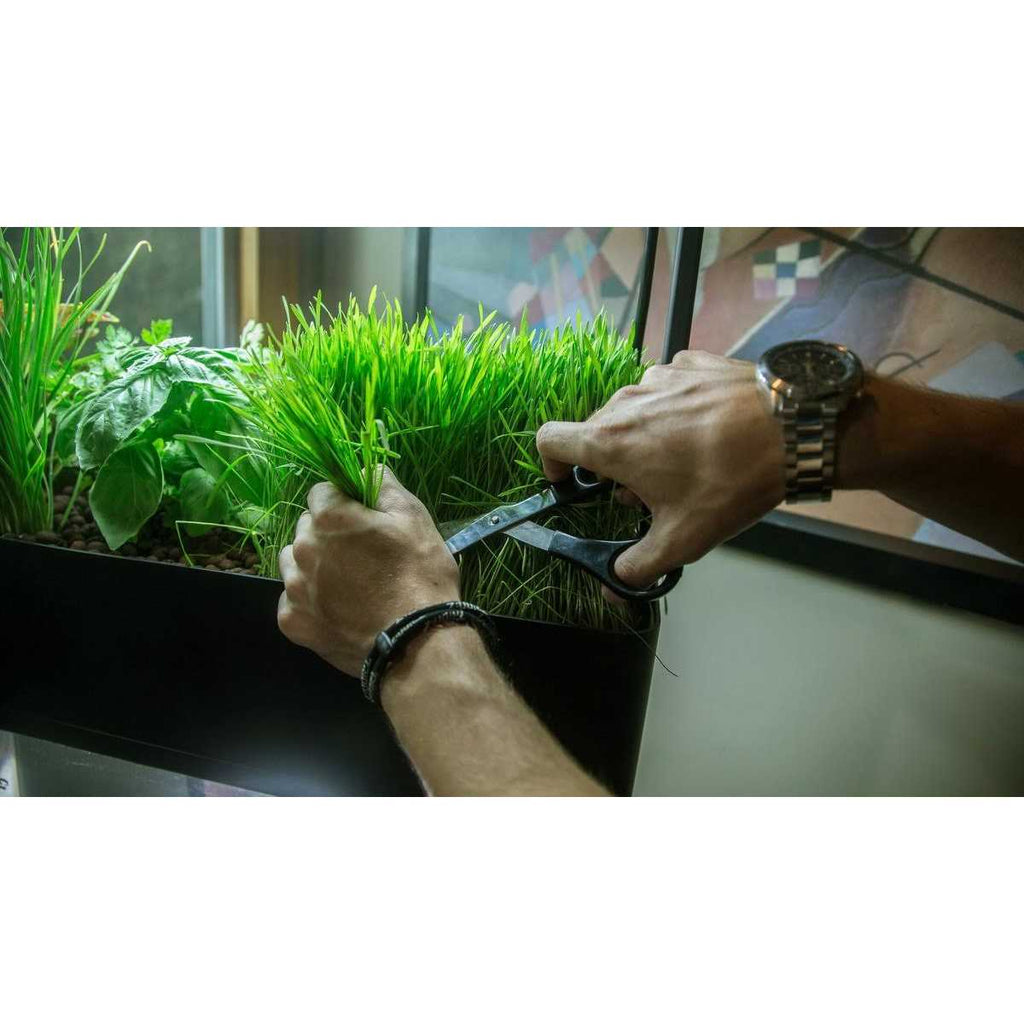 AquaSprouts Garden kit C259709