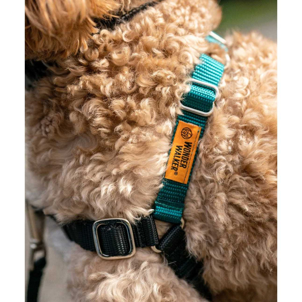 Body Halter Dog Harness U481