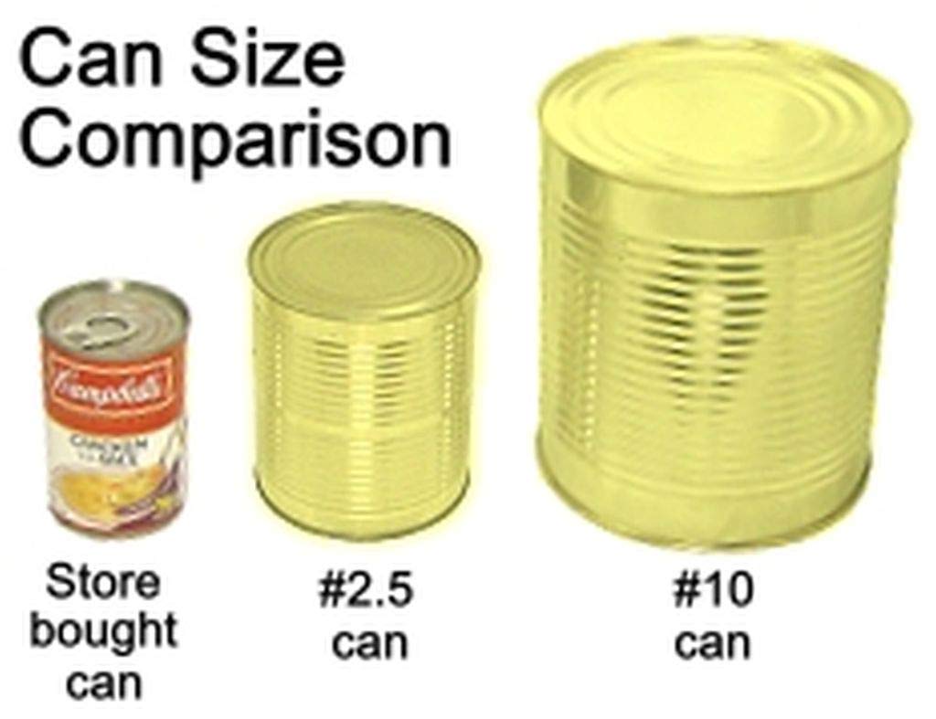 6 Pack #10 Can Mandarin Orange Segments in Light Syrup C51869