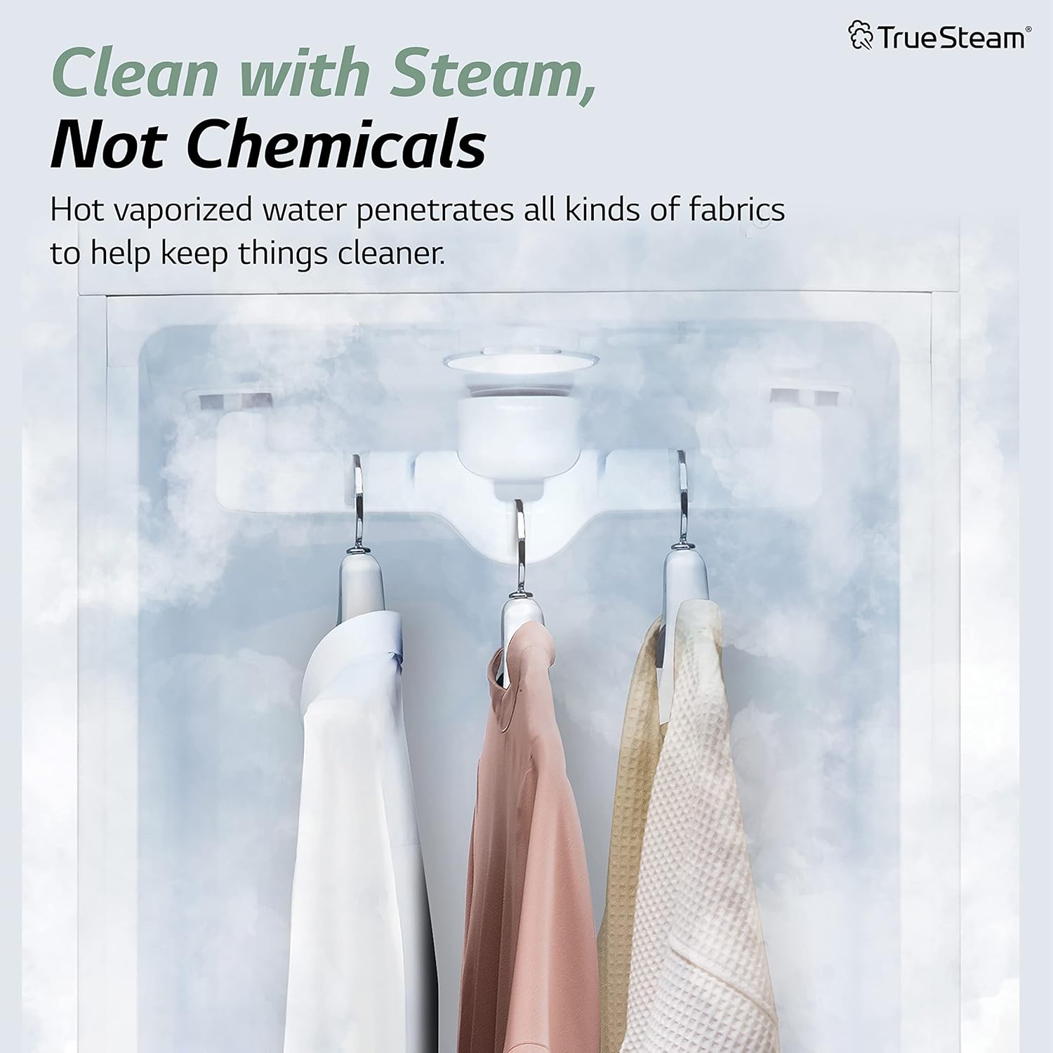 Steam Closet Clothes Steamer A15919