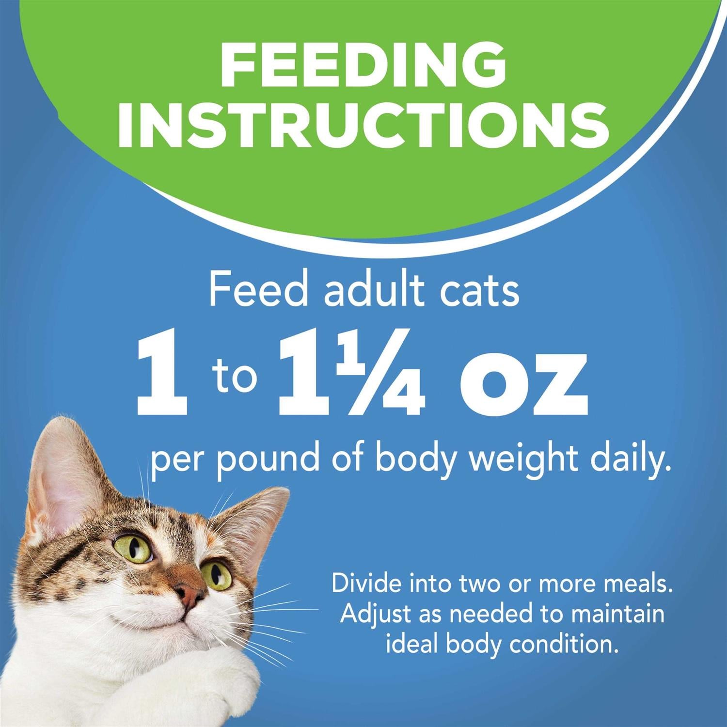 Indoor Flaked Ocean Whitefish Canned Cat Food L101