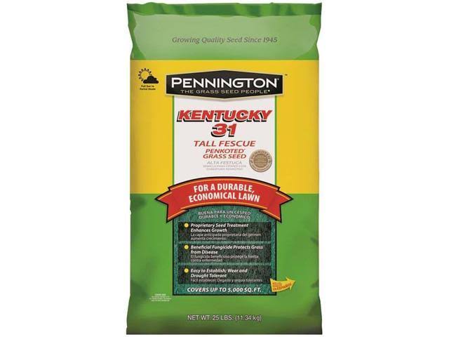 25 lb Tall Fescue Grass Seed Y411