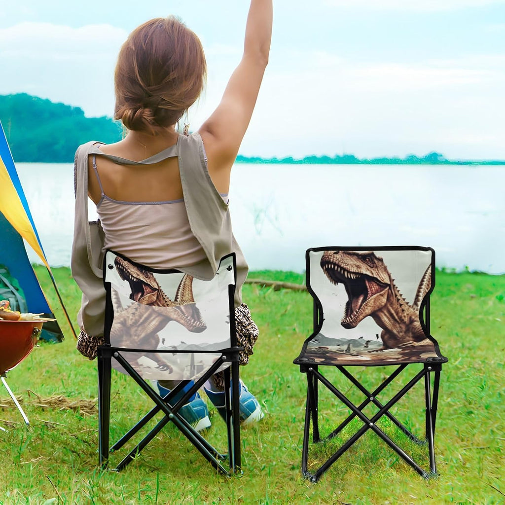 Portable Folding Camping Chair R516698
