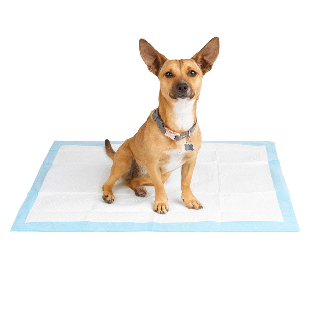 Large Leak Guard Quilted Potty Pads G228431