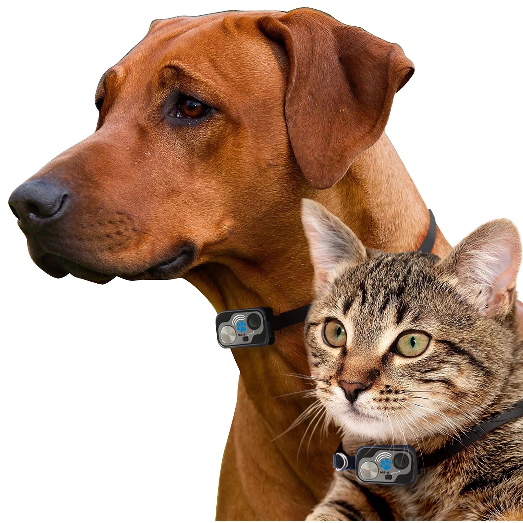 Pet Patio Panel for Sliding Glass Door, Double Pane, Low E, 81.25" x 14" X575