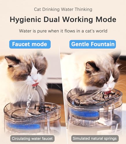 61OZ/1.8L Automatic Pet Drinking Fountain with 2 Filter Replacement and 1 Water Pump M902