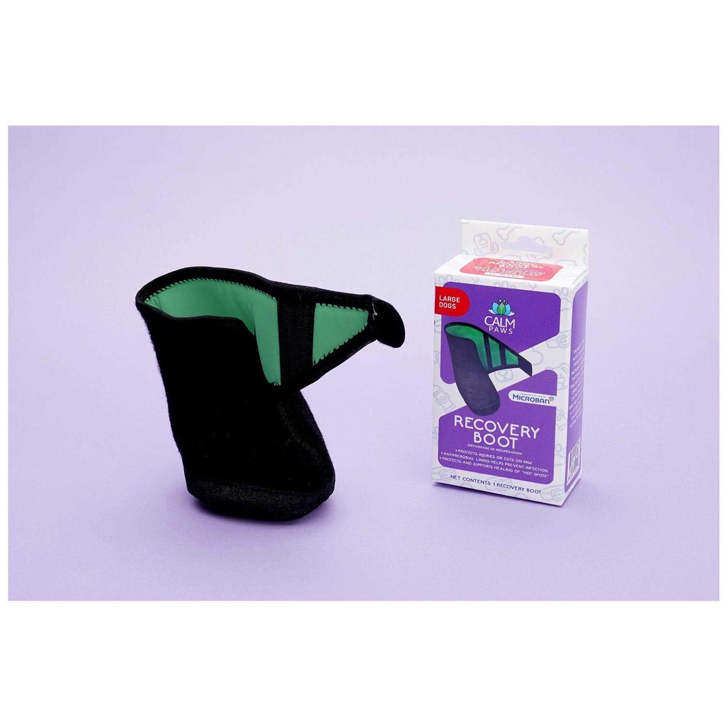 Recovery Boot J195