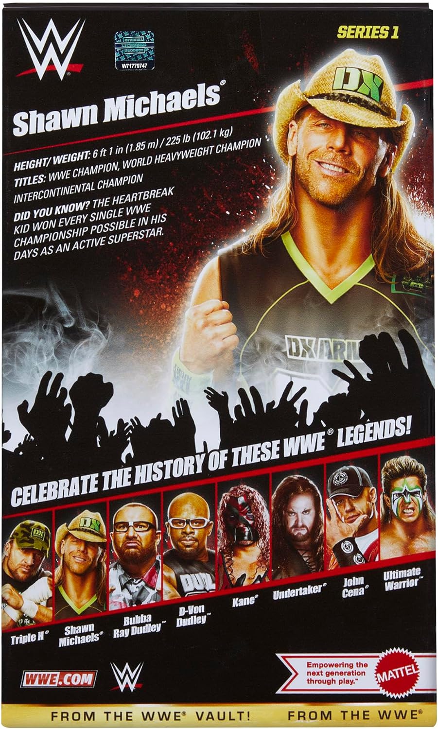 WWE Action Figure C6211
