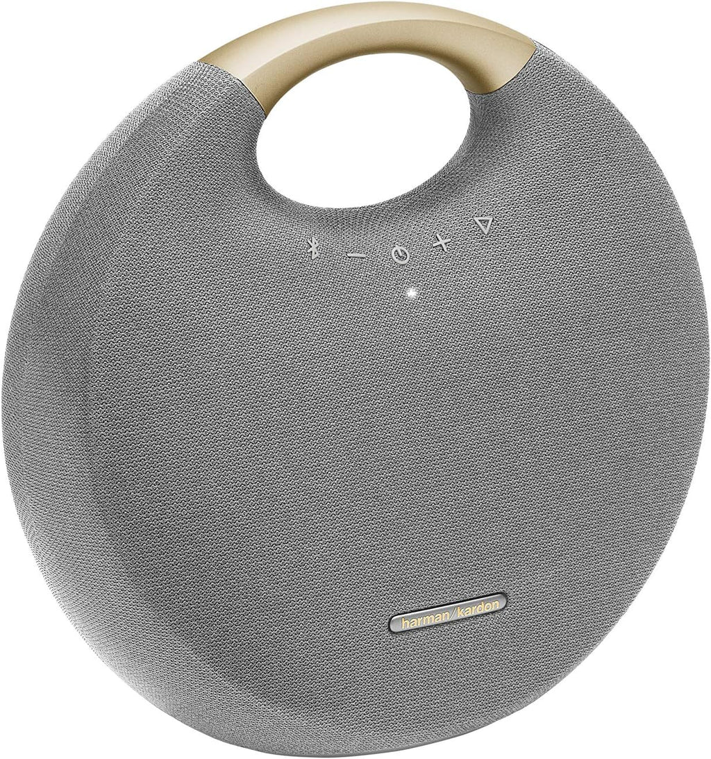 Gray Bluetooth Speaker with Handle O186913