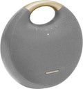 Gray Bluetooth Speaker with Handle O186913