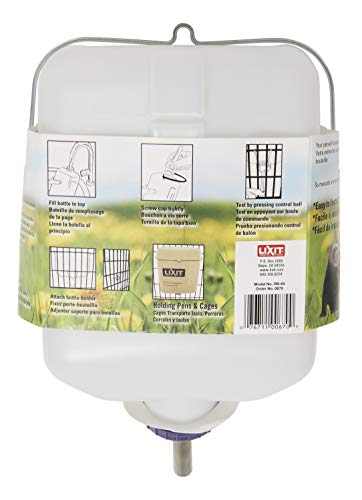 White 32 Ounce Cage Water Bottles G229406