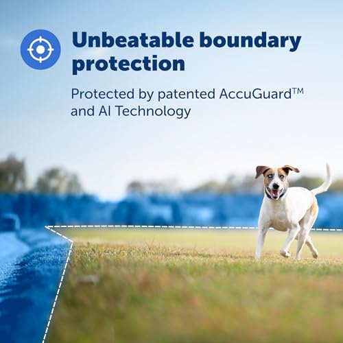 GPS Dog Collar with App, Waterproof Rechargeable (Blue, Grey) T4716
