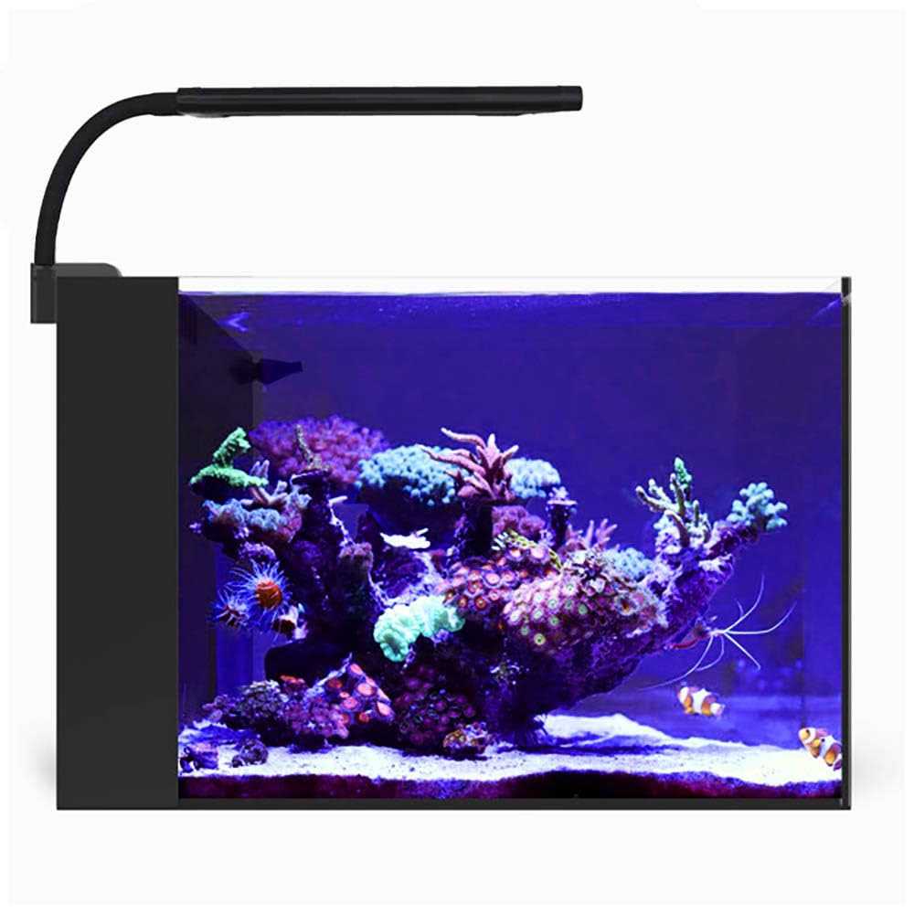 Orbit Marine NANO LED Light with Gooseneck Mount & Dynamic Controller B217