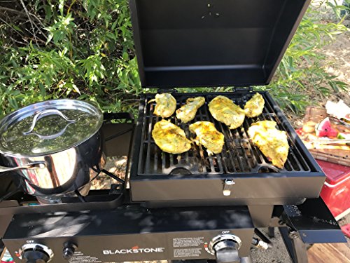 Stainless Steel 2 Burner Portable Gas Grill and Griddle Combo K9630