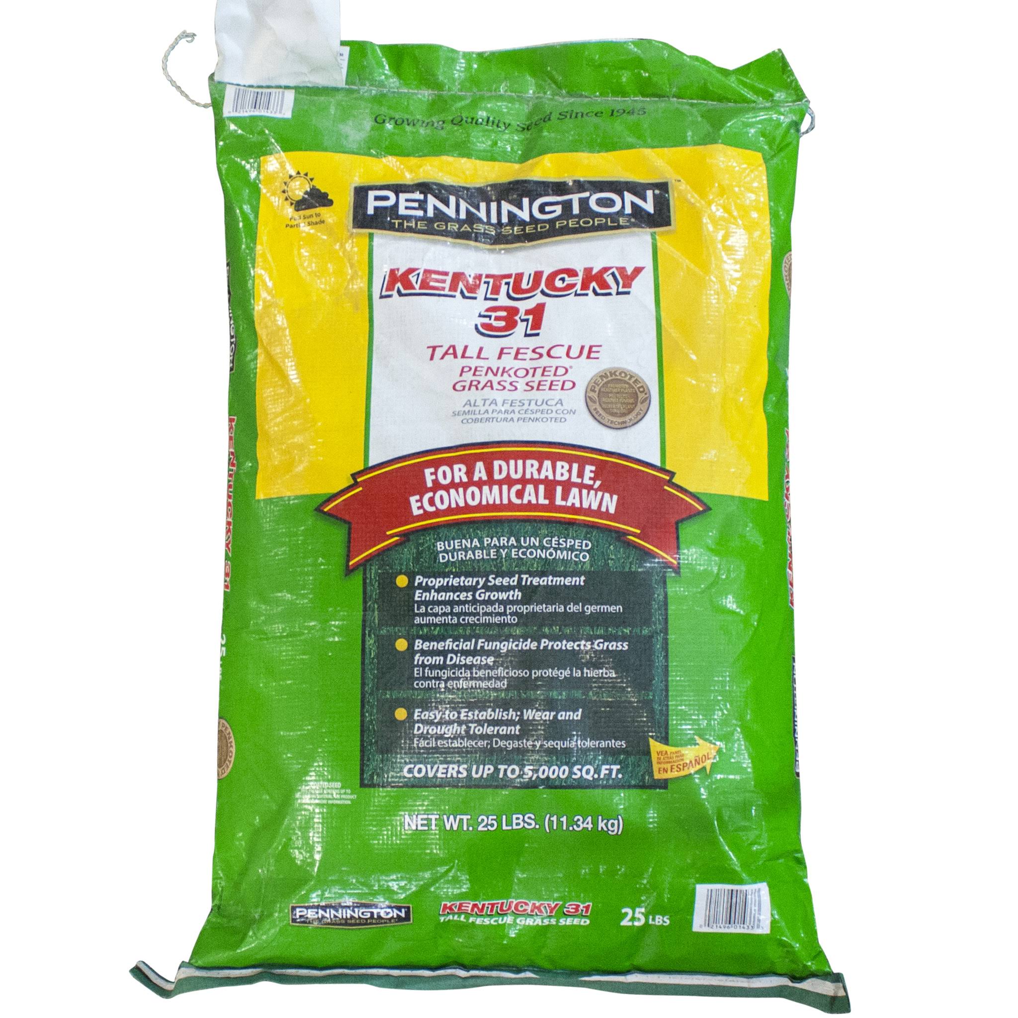 25 lb Tall Fescue Grass Seed Y411