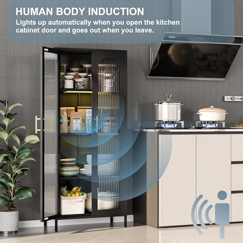 Black 65" Metal Storage Cabinet with Glass Doors and 3 Adjustable Shelves X843