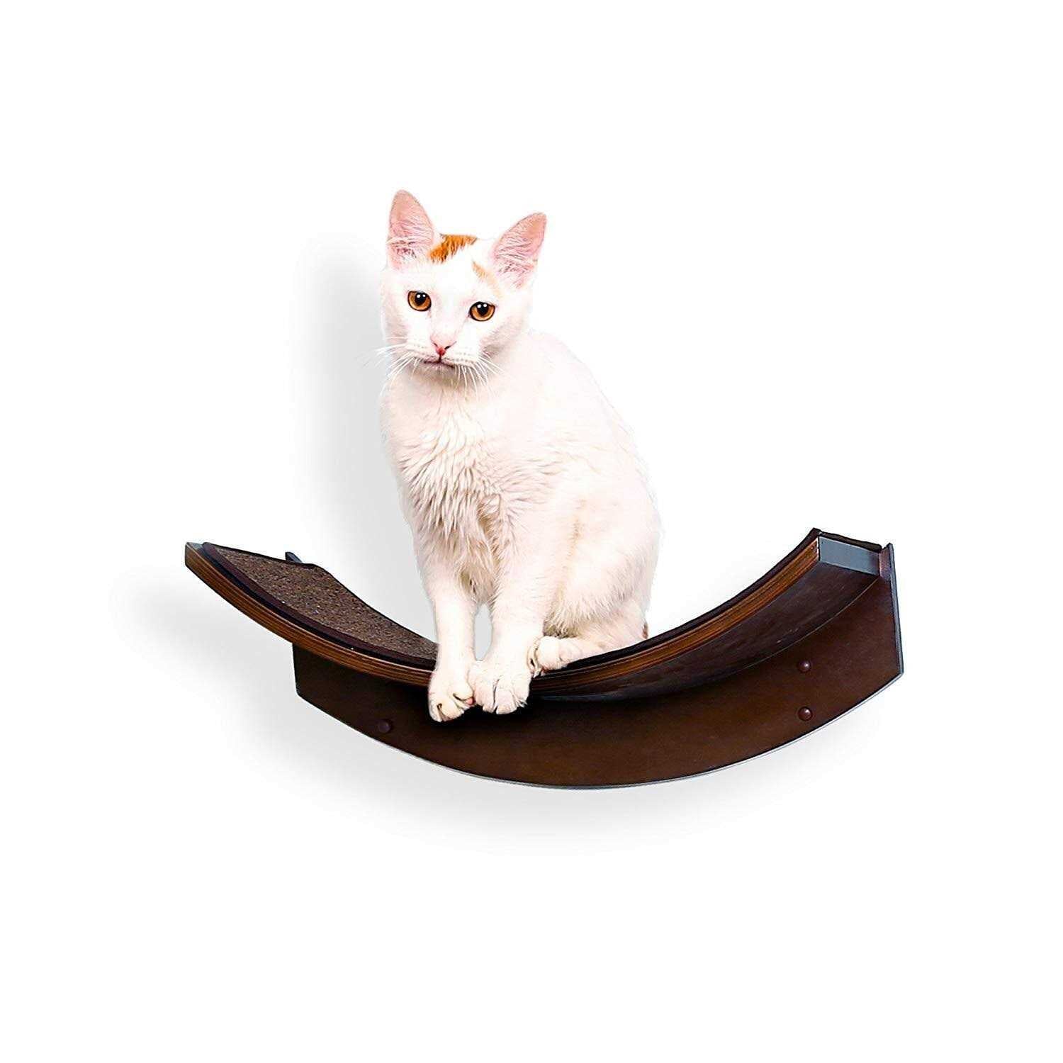 Cat Shelf S271920