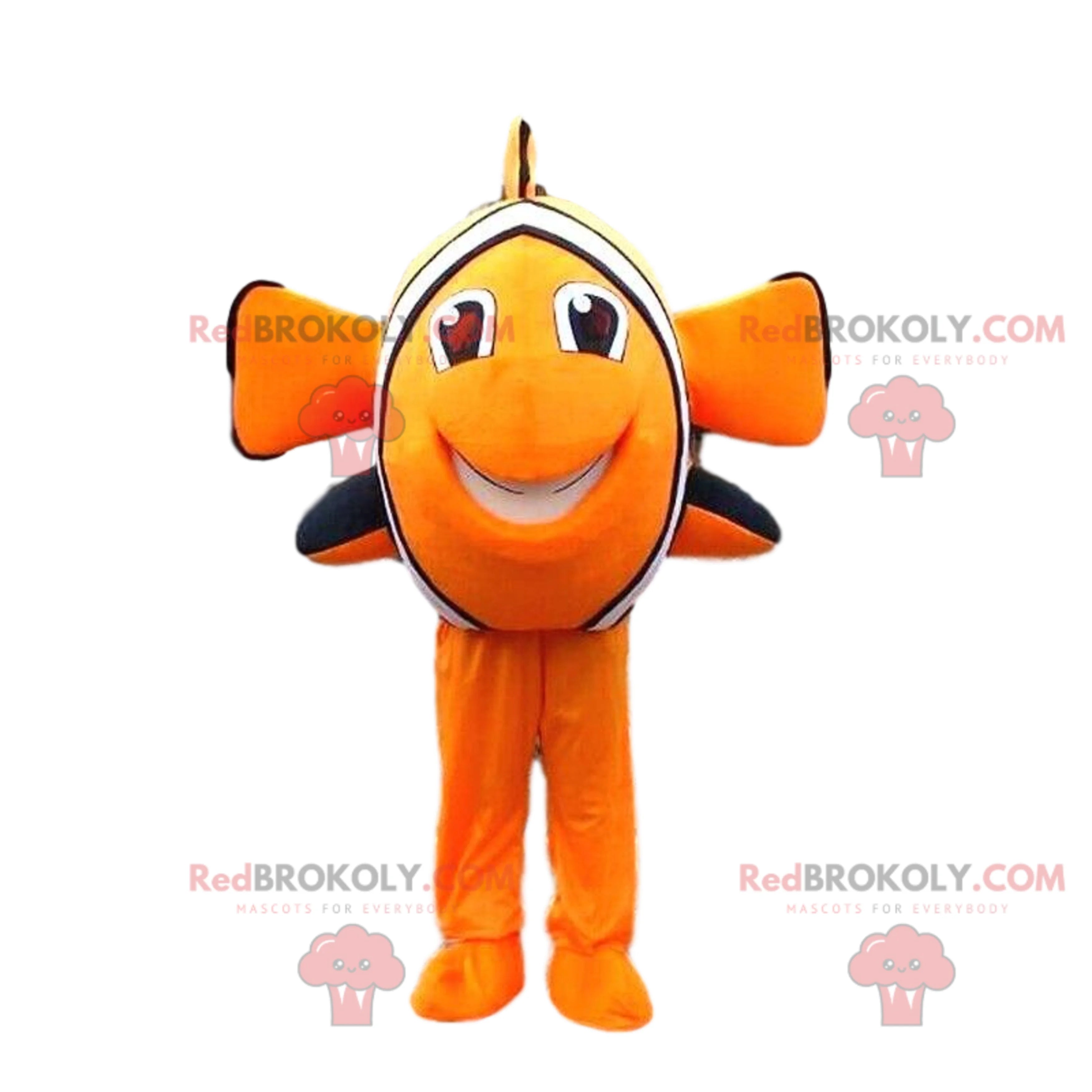 Clownfish H13153