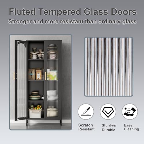 Black 65" Metal Storage Cabinet with Glass Doors and 3 Adjustable Shelves X843