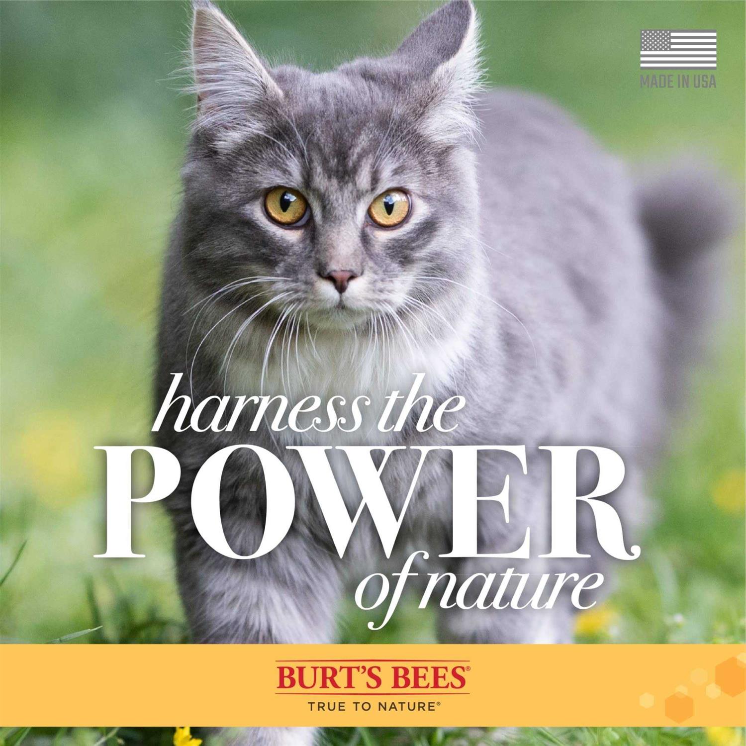Dander Reducing Wipes for Cats Y533234
