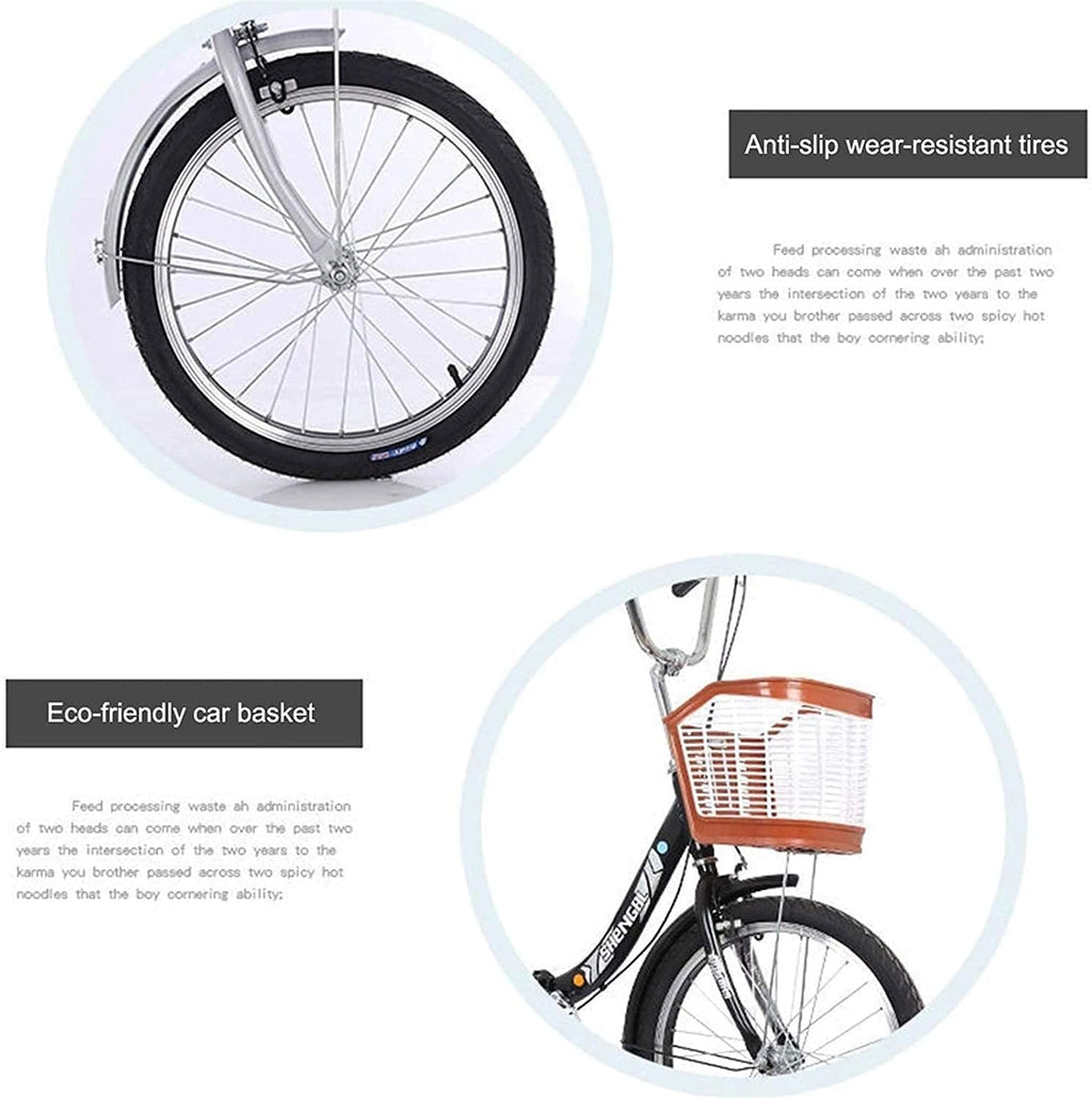 20 Inch Single Speed Adult Tricycle with Large Basket T331