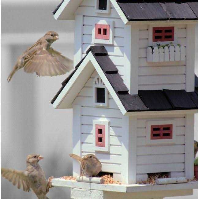 Sunflower Hearts & Chips Wild Bird Food H86738