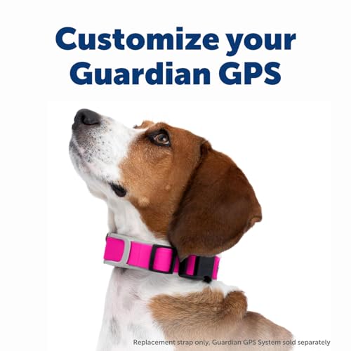 GPS Dog Fence Collar E68202