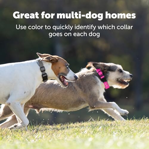 GPS Dog Fence Collar E68202