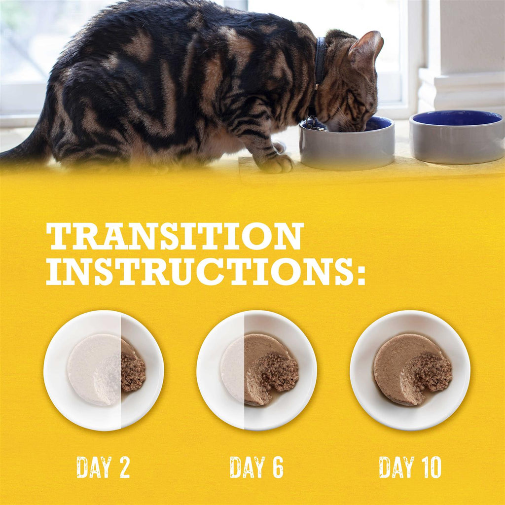 Grain-Free Wet Cat Food K504680