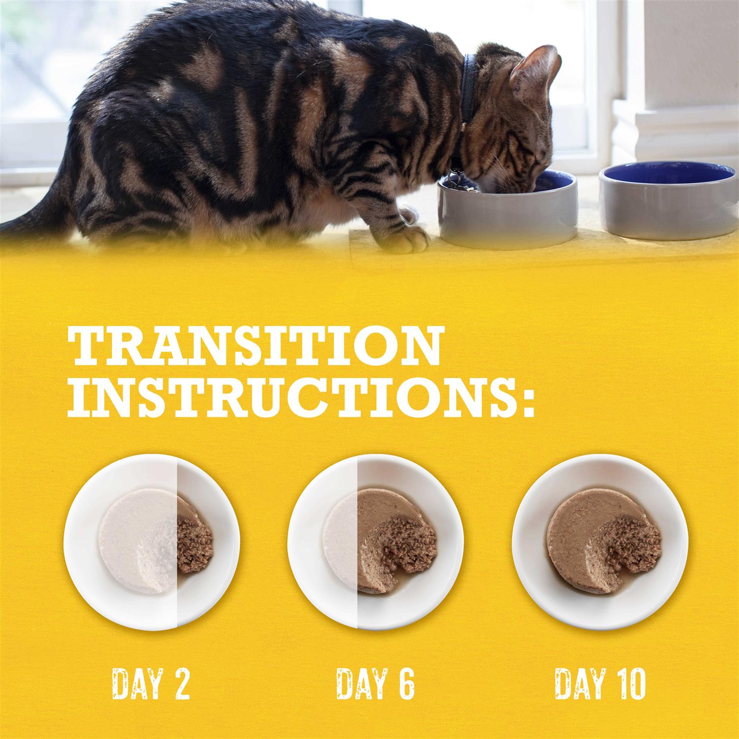 Grain-Free Wet Cat Food K504680