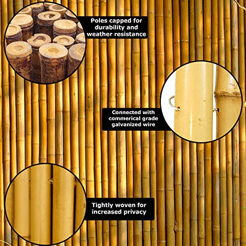 Natural Bamboo Fence Panel 6 ft H x 8 ft L V807764