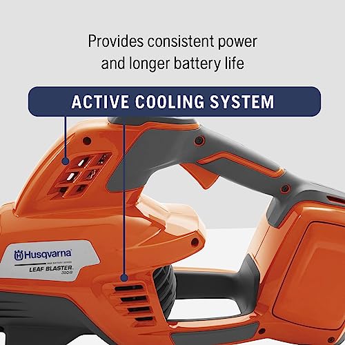 Leaf Blower, 200-MPH 800-CFM, 40V Lithium-Ion Battery and Charger Included A800626