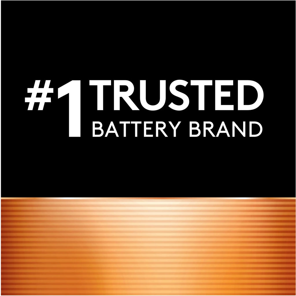 AA Batteries (Pack of 2) K570159