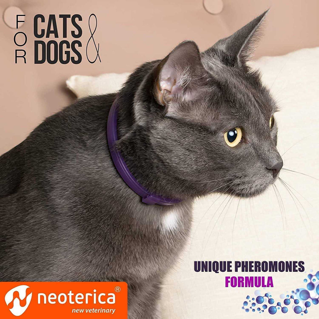 Cat Calming Collar K800