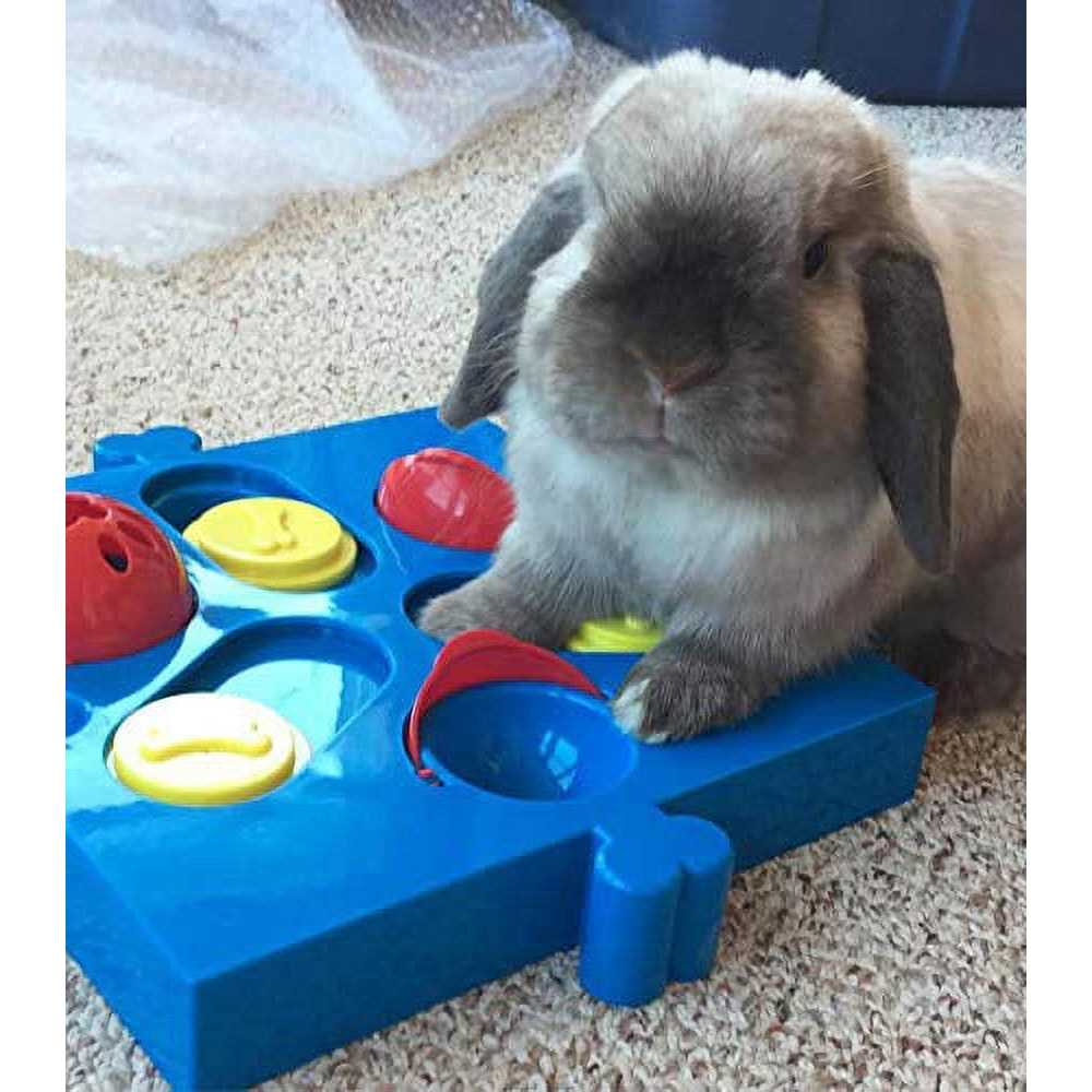 Connector Puzzle Interactive Dog Treat Toy L173329