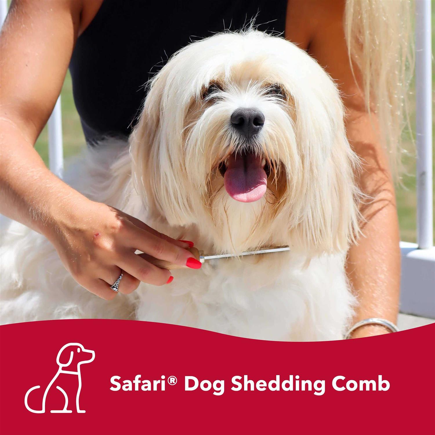 Safari Dog Shedding Comb F499355