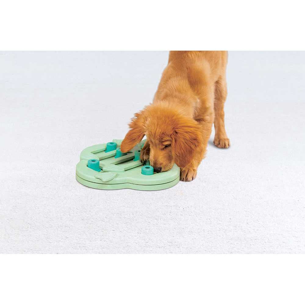 Interactive Treat Puzzle Dog Toy C107