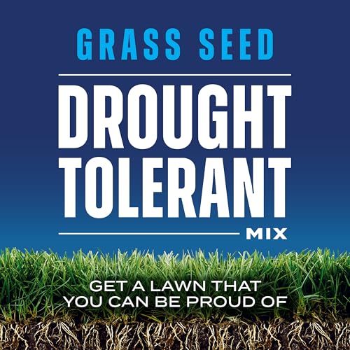 4 lb. Drought Tolerant Grass Seed Mix I6402