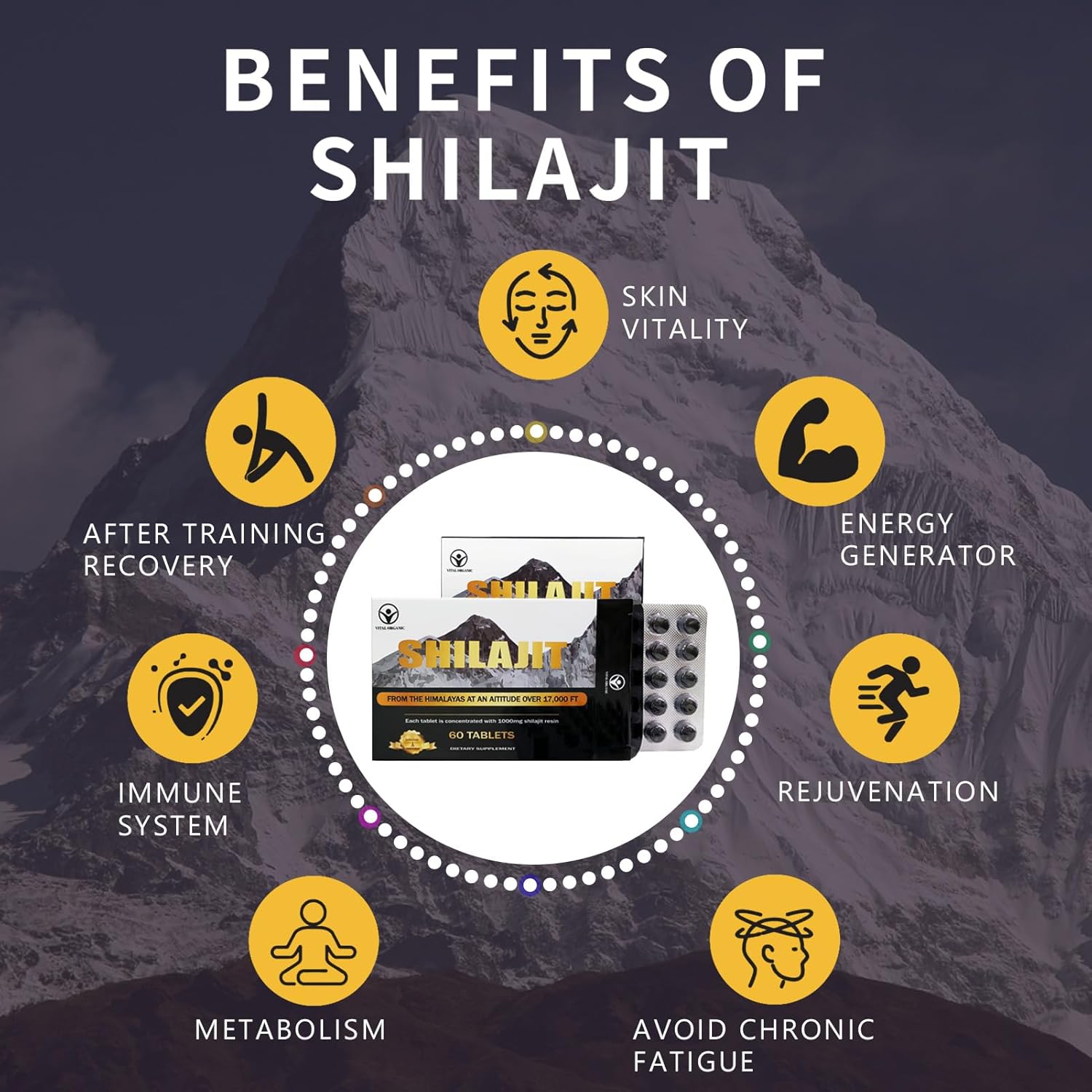 120 Shilajit Tablets, 1000mg each P100091
