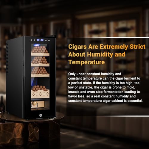 35L 250 Counts Thermostatic Desktop Humidor Cabinet R763124