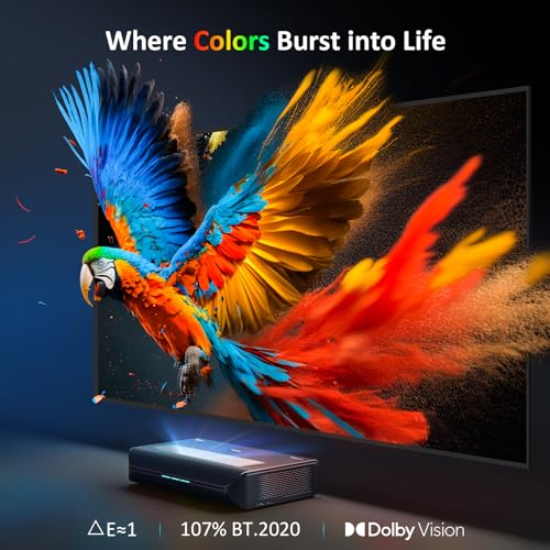 Aurora Pro Projector S37324