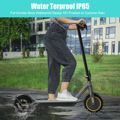 Electric Scooter with 350W Motor, 8.5" Solid Tires, Foldable B313178