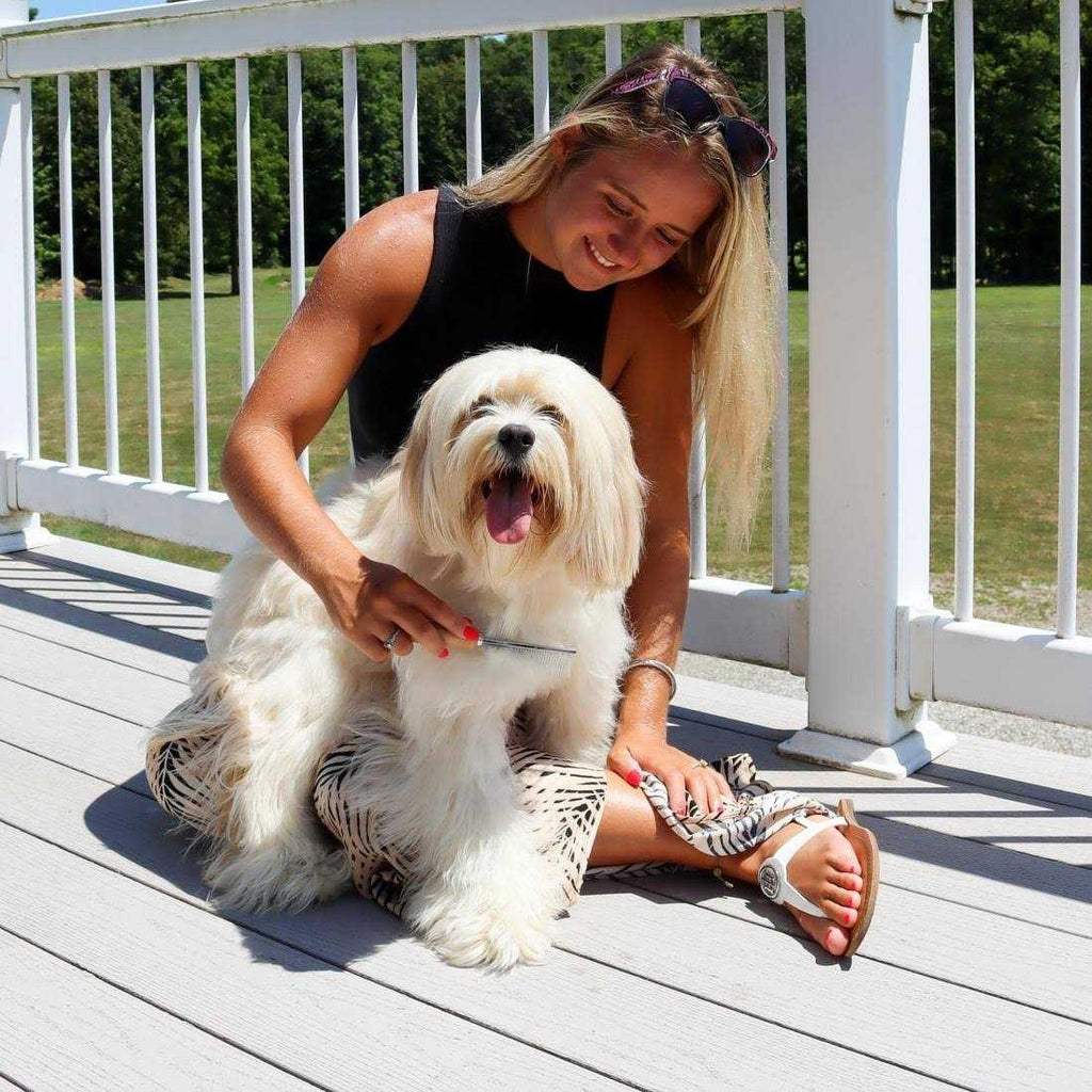 Safari Dog Shedding Comb F499355