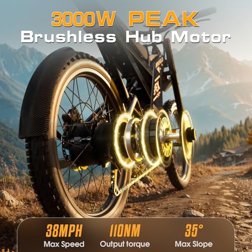 Electric Dirt Bike with 3000W Brushless Motor and 48V 30AH Battery Y480