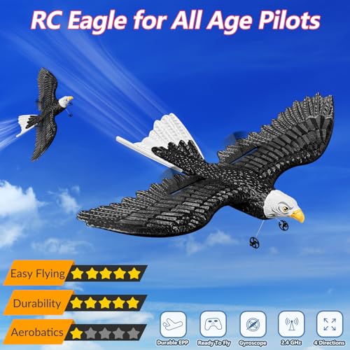 2 CH RC Plane Ready to Fly I7903