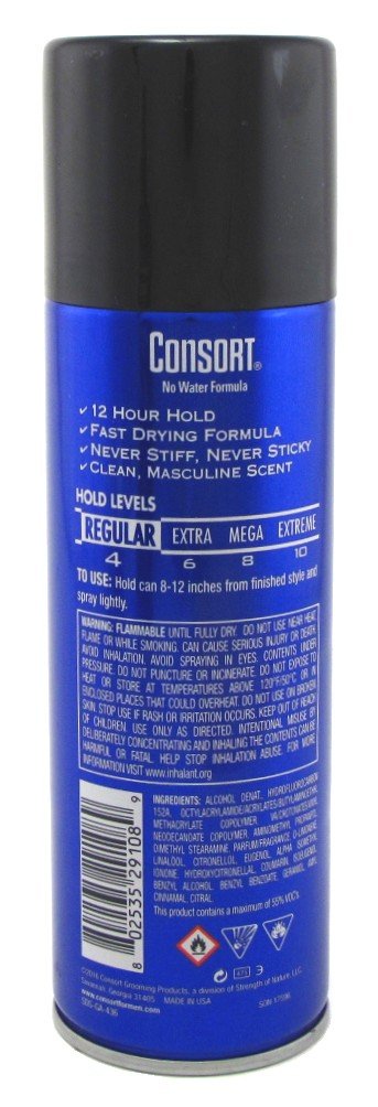 8.3 Ounce Regular Hold Aerosol Hair Spray (2 Pack) E384