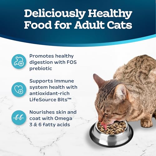 15-lb. Bag Dry Cat Food C286779