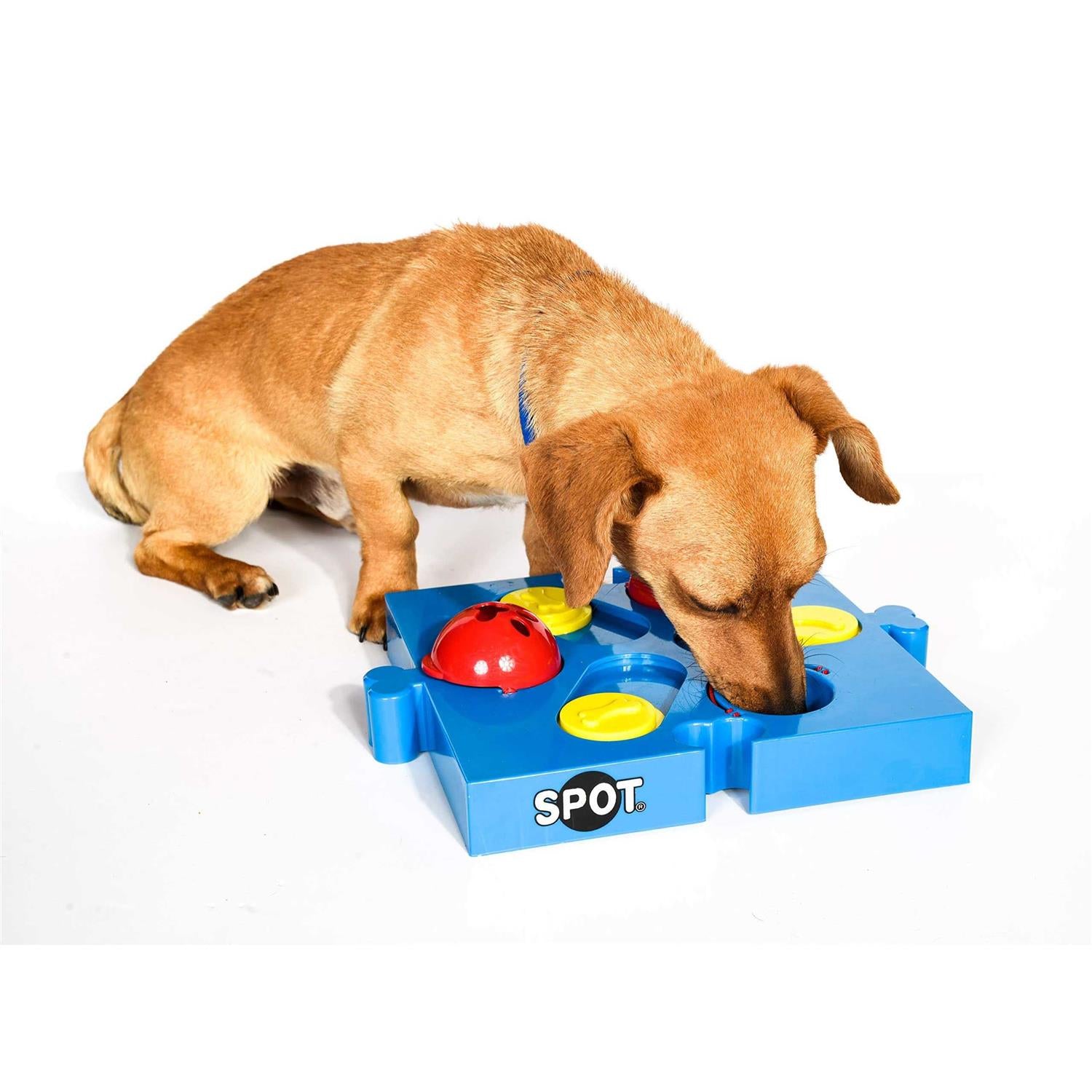 Connector Puzzle Interactive Dog Treat Toy L173329